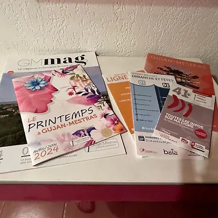 Duplex Solarium Proche Du Port De Larros Mestras דירה *